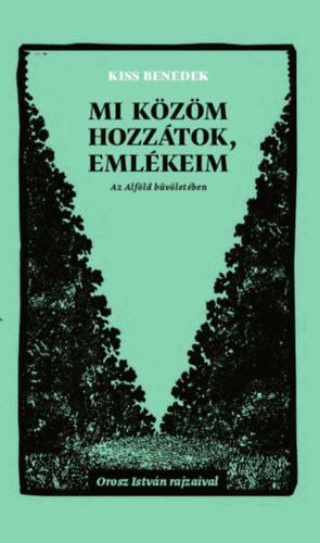 Mi közöm hozzátok, emlékeim