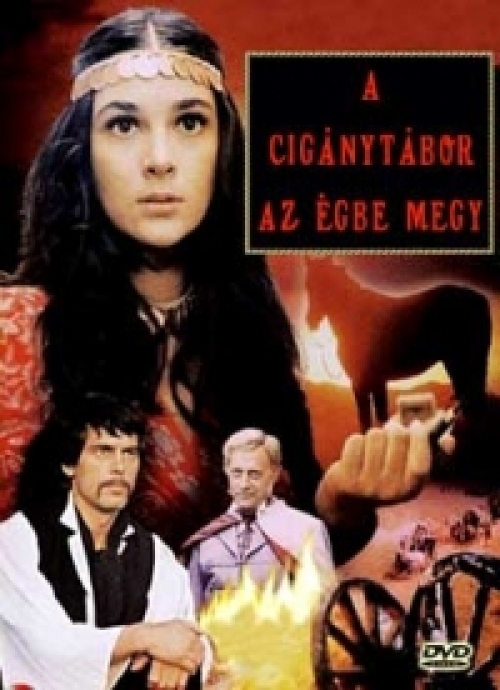 A cigánytábor az égbe megy (DVD) *Antikvár - Kiváló állapotú*