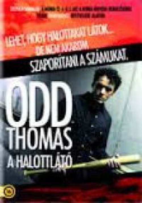 Odd Thomas - A halottlátó (DVD) *Antikvár - Kiváló állapotú*
