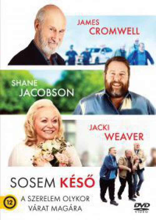 Sosem késő (DVD) *Antikvár - Kiváló állapotú*