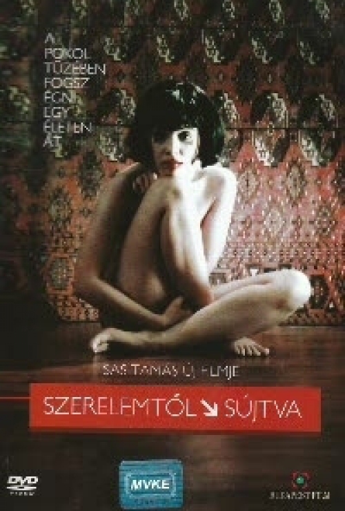 Szerelemtől sújtva (DVD) *Sass Tamás filmje - Antikvár - Kiváló állapotú*