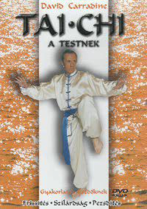 Tai-Chi a testnek (DVD) *Tai Chi* *Antikvár-Kiváló állapotú*