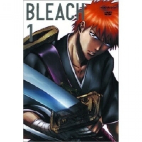 Bleach 1. (DVD)