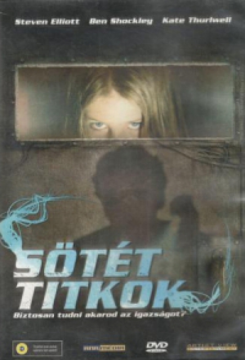 Sötét titkok (2008) (DVD) *Gary Daniels - Antikvár - Kiváló állapotú*
