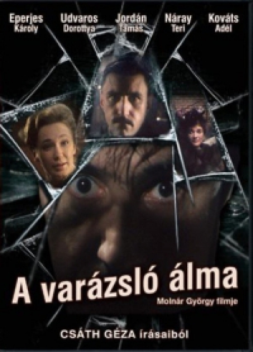 A varázsló álma *Eperjes Károly - Udvaros Dorottya* (DVD) *Antikvár - Kiváló állapotú*