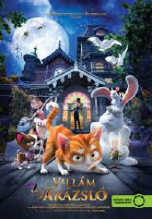 Villám és a varázsló (DVD)