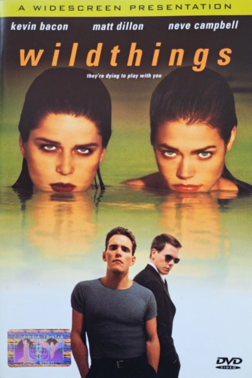 Vad vágyak (DVD) *Denise Richards - Magyar kiadás - Antikvár - Kiváló állapotú*