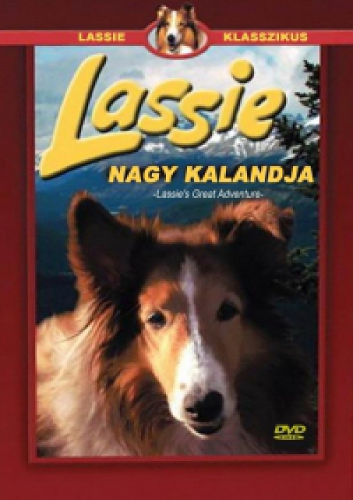 Lassie nagy kalandja (DVD) *Antikvár - Kiváló állapotú*