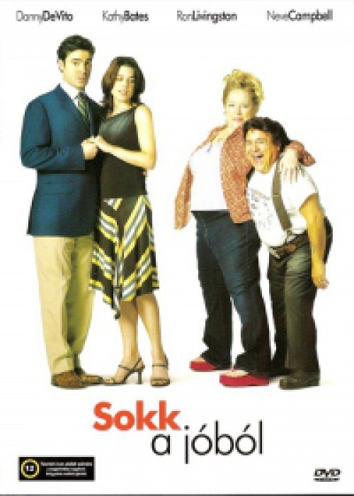 Sokk a jóból (DVD) *Kathy Bates - Danny DeVito - Antikvár - Kiváló állapotú*