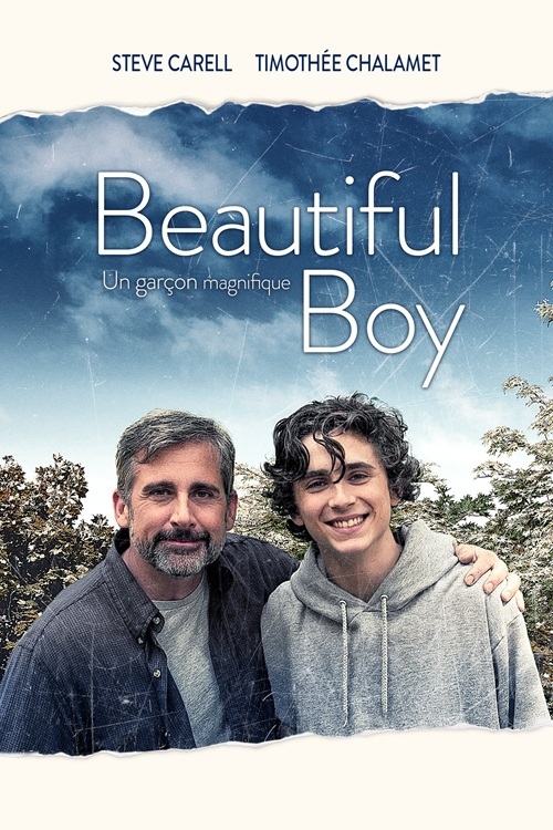 Csodálatos fiú (DVD) *Timothée Chalamet - Steve Carell*