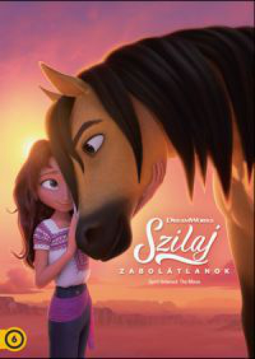 Szilaj: Zabolátlanok (DVD) *Szinkronizált*