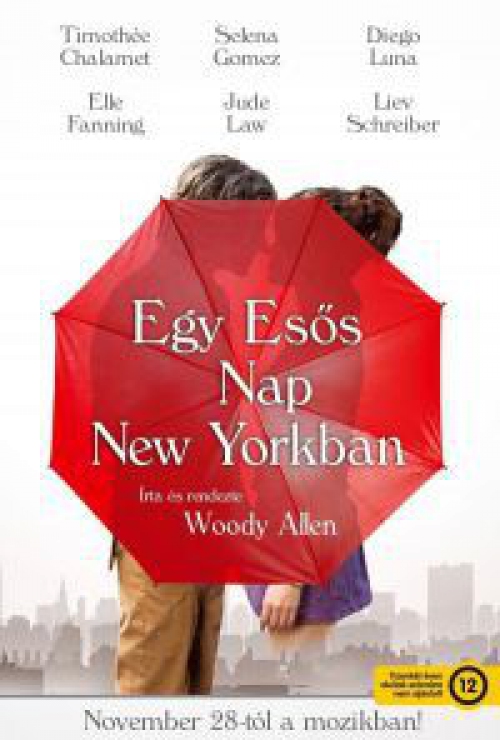 Egy esős nap New Yorkban (DVD)
