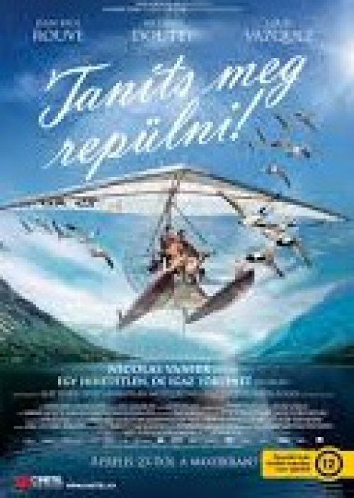 Taníts meg repülni! (DVD) *Antikvár - Kiváló állapotú*