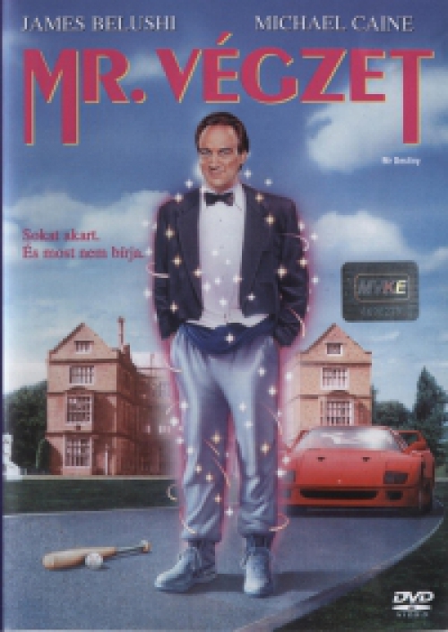 Mr. Végzet (DVD) *James Belushi - Antikvár - Kiváló állapotú*