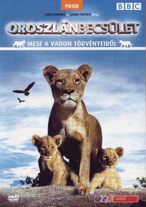 Oroszlánbecsület (DVD) *Antikvár - Kiváló állapotú*