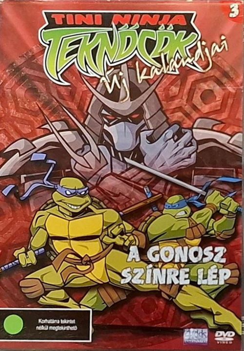 Tini Nindzsa Teknőcök új kalandjai 3. - A gonosz színre lép (DVD) *Antikvár - Kiváló állapotú*