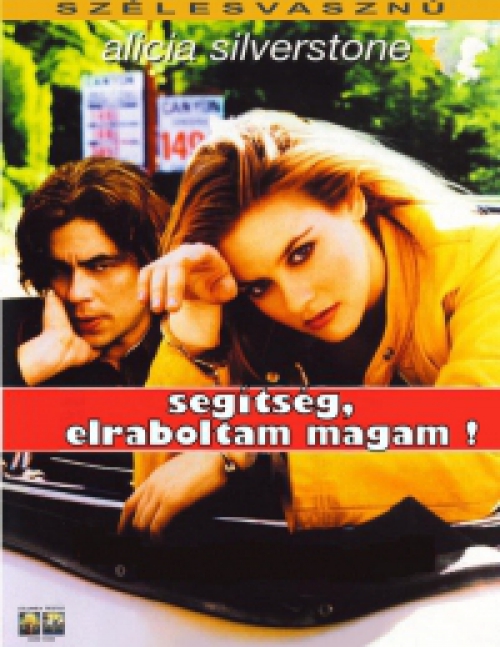 Segítség, elraboltam magam! (DVD) *Warner* *Antikvár - Kiváló állapotú*