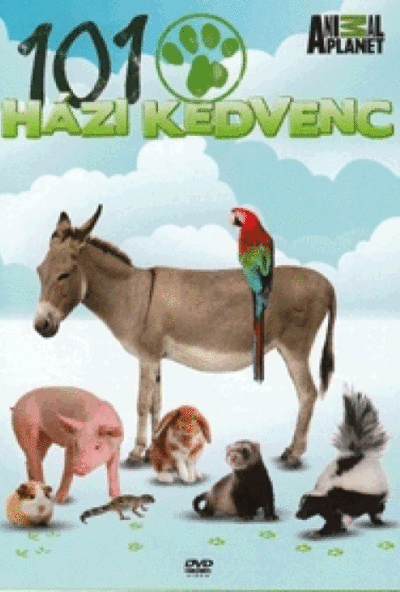 101 Házi kedvenc - Pets 101 (DVD)