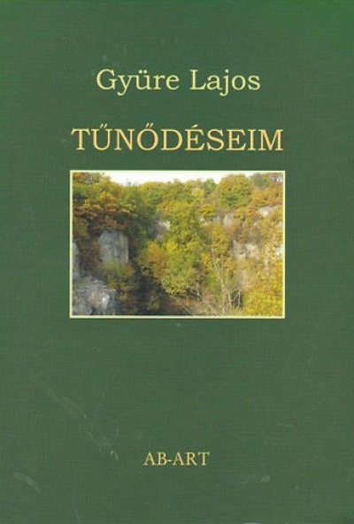 Tűnődéseim