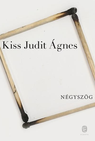 Négyszög