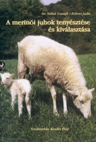 A merinói juhok tenyésztése és kiválasztása