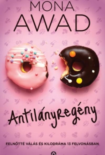 Antilányregény