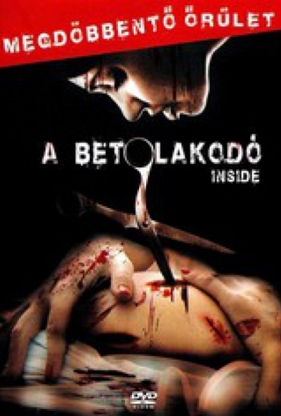 A betolakodó (2007) (DVD) *Magyar feliratos* *Antikvár - Kiváló állapotú*
