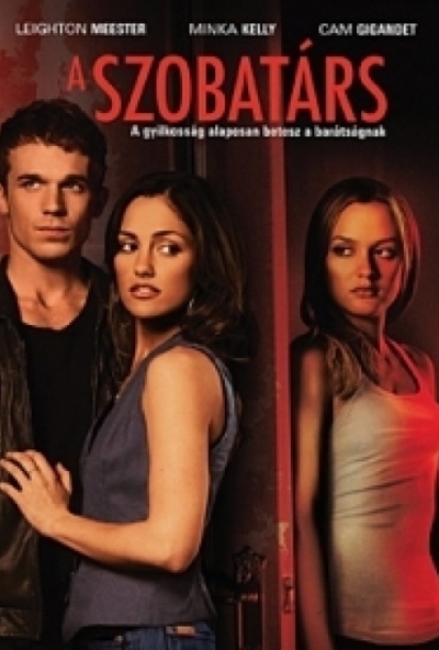 A szobatárs (DVD) *Antikvár - Kiváló állapotú*