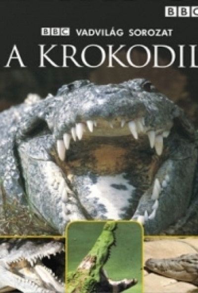 Vadvilág sorozat - A krokodil (DVD)