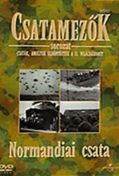 Csatamezők - Normandiai csata (DVD)