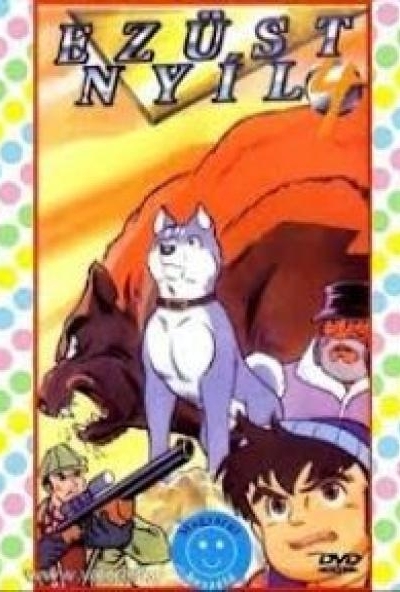 Ezüst Nyíl 4. - Falkavezér (DVD)