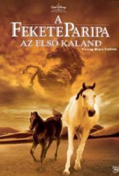 A fekete paripa - Az első kaland (DVD)