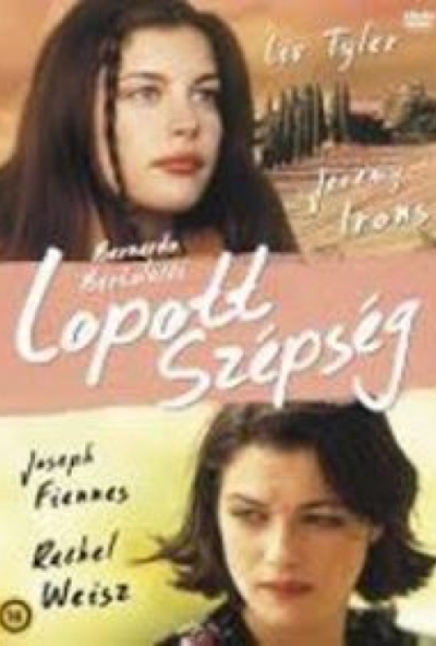Lopott szépség (DVD) *Antikvár-Kiváló állapotú*