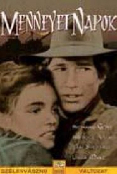 Mennyei napok (DVD)