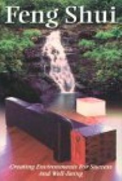 Feng Shui (DVD)