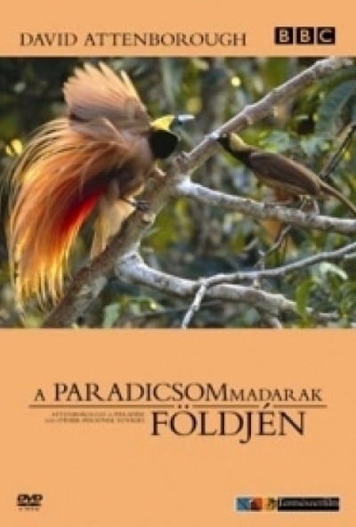 A paradicsommadarak földjén (DVD)