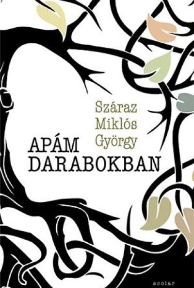 Apám darabokban