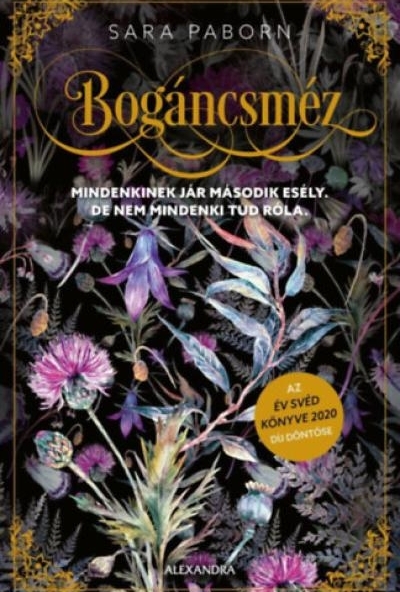 Bogáncsméz
