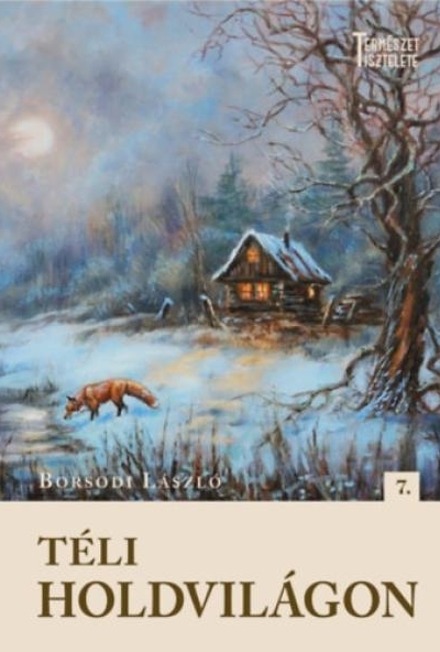 Téli holdvilágon