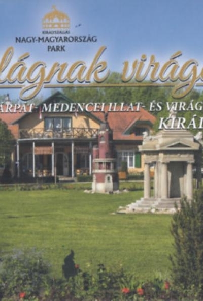 Világnak virága