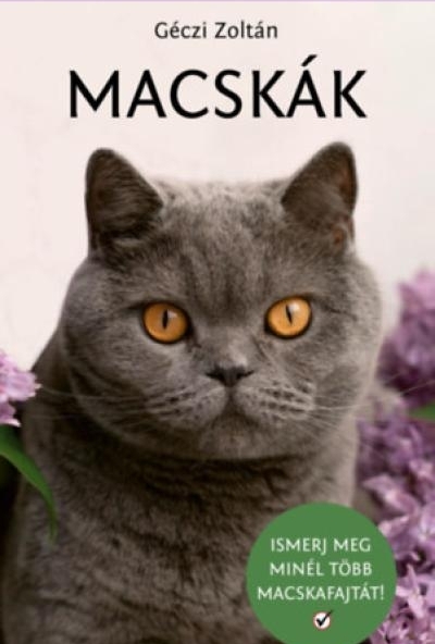 Macskák