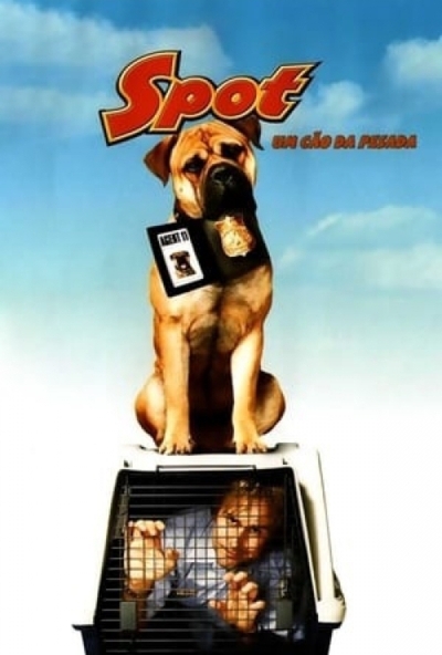 Kutya futtában (DVD) *Magyar kiadás - Antikvár - Kiváló állapotú*