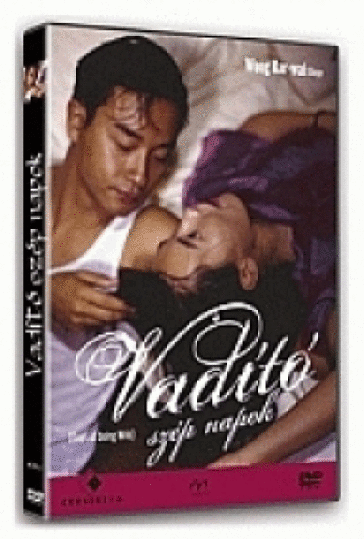 Vadító szép napok (DVD)