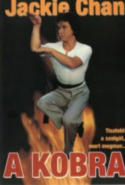 A kobra *Jackie Chan* (DVD) *Kínai harművészeti film - Antikvár - Kiváló állapotú*