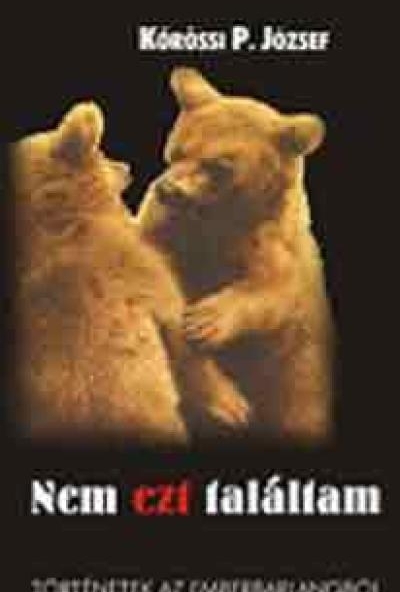 Nem ezt találtam