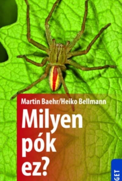 Milyen pók ez?