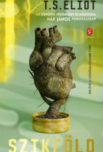 Szikföld