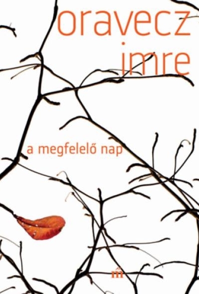 A megfelelő nap