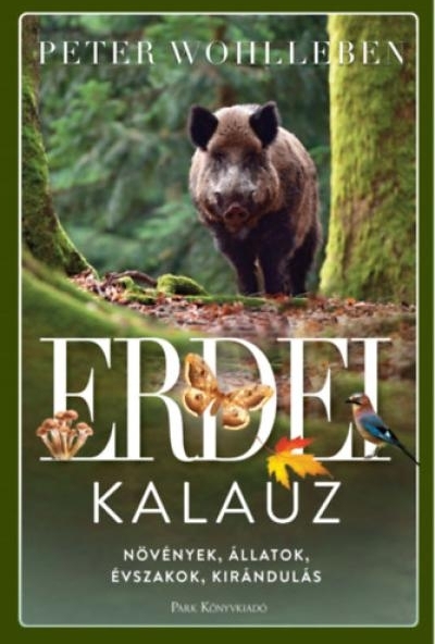 Erdei kalauz