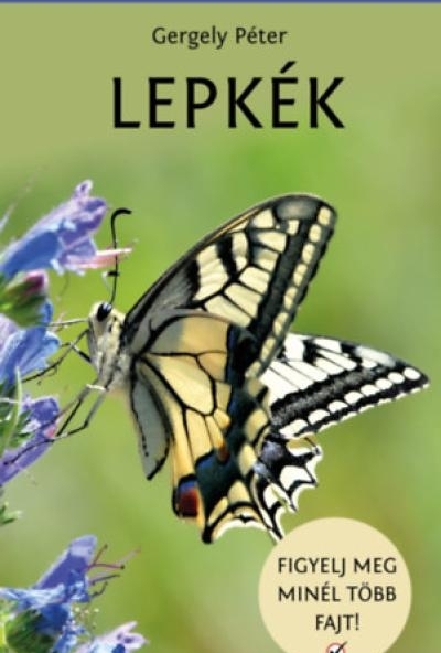 Lepkék